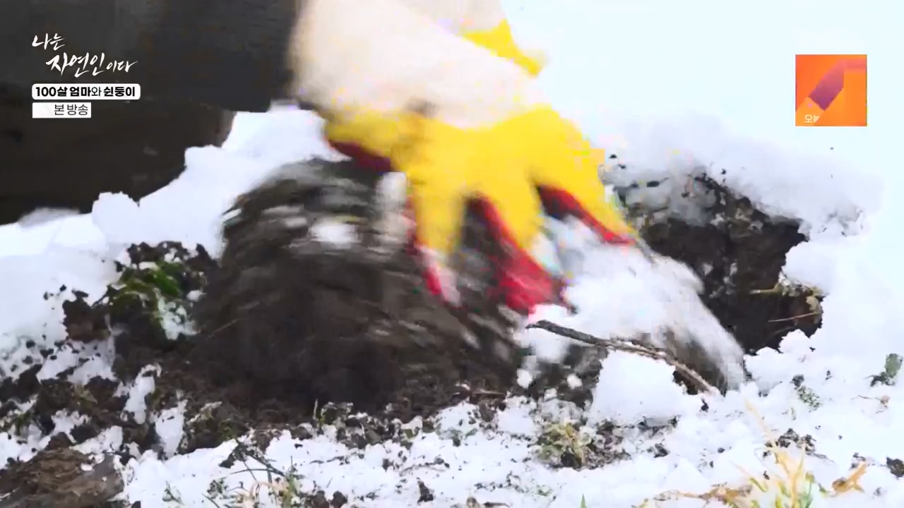 나는 자연인이다.E597.240314p-NEXT.mp4_20240314_195518.149.jpg