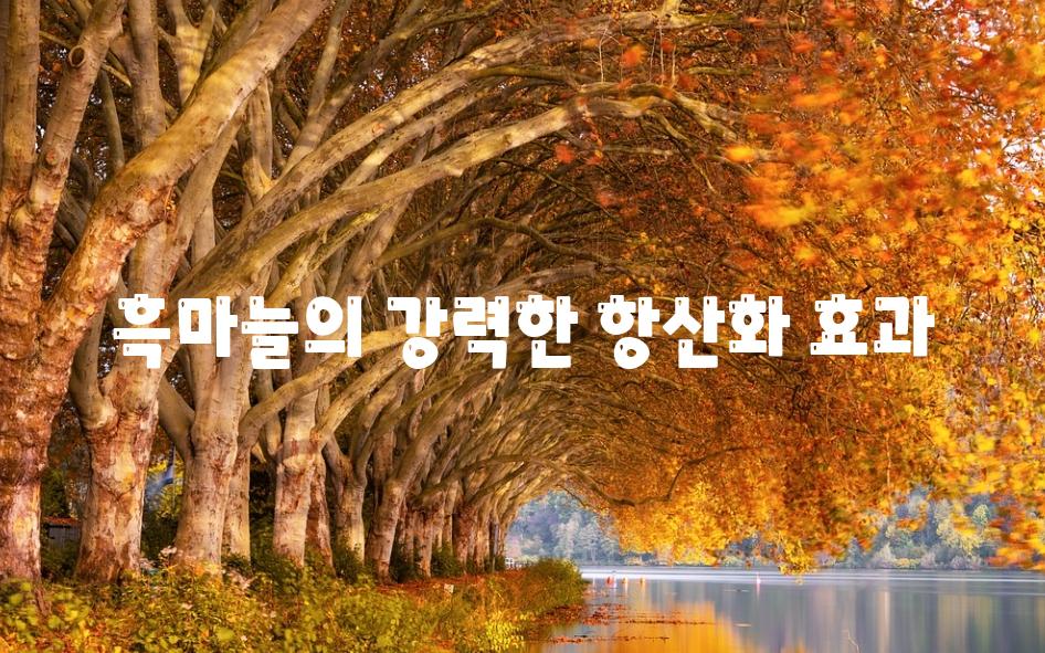 흑마늘의 강력한 항산화 효과