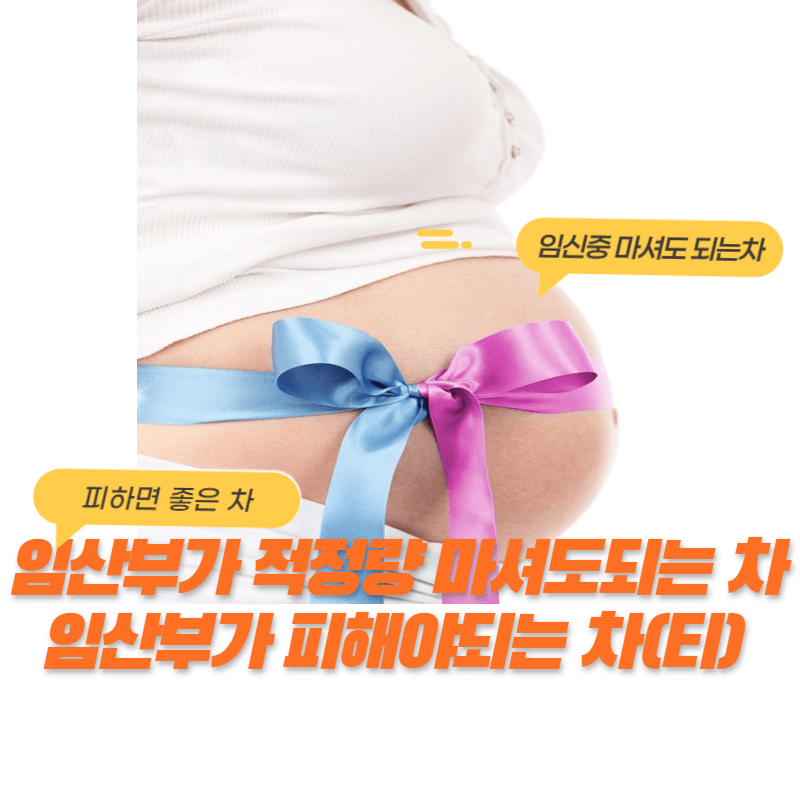 임산부가 적정량 마셔도 되는 차 (임산부가 피해야되는 차)