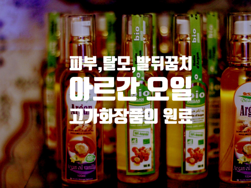  아르간오일의 효능 (보습,탈모,발뒤꿈치) 황금오일