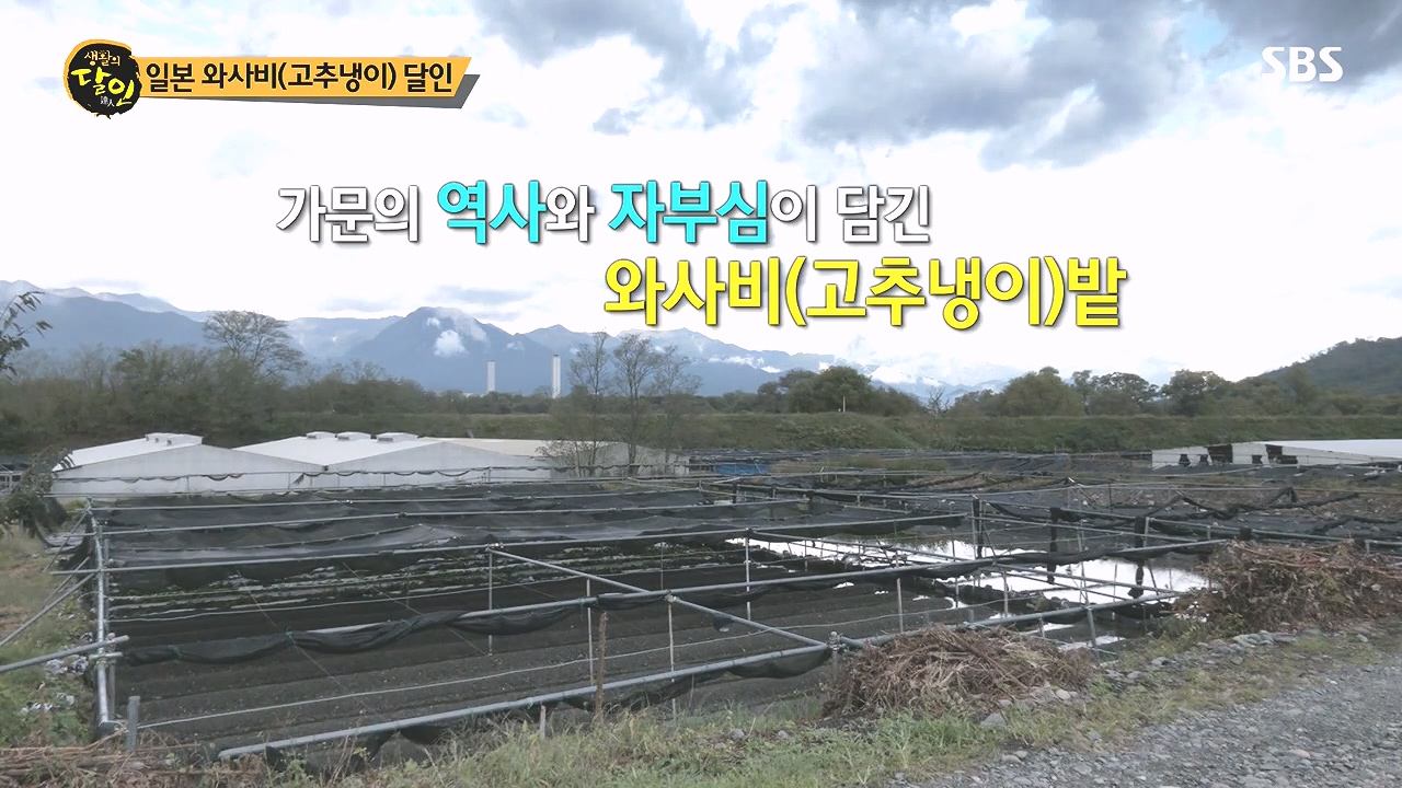 생활의 달인.E908.231017p-NEXT.mp4_20231017_200131.670.jpg