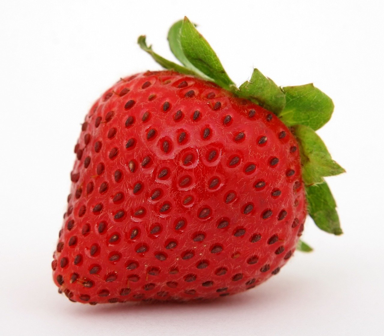 “딸기”