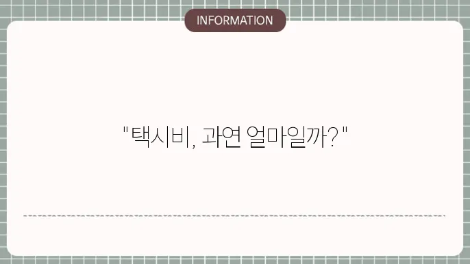 택시비 구조