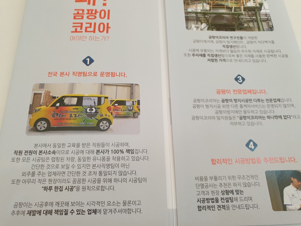 벽지곰팡이 제거 21