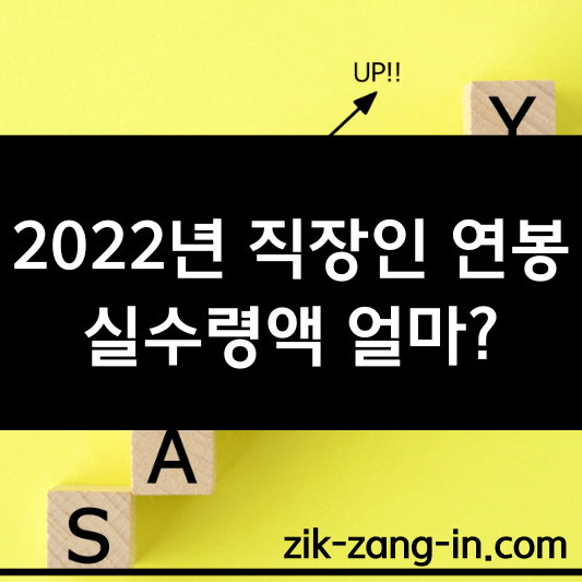 2022년 연봉실수령액