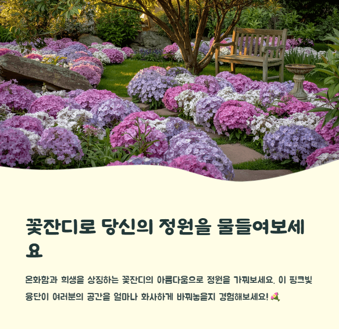 꽃잔디