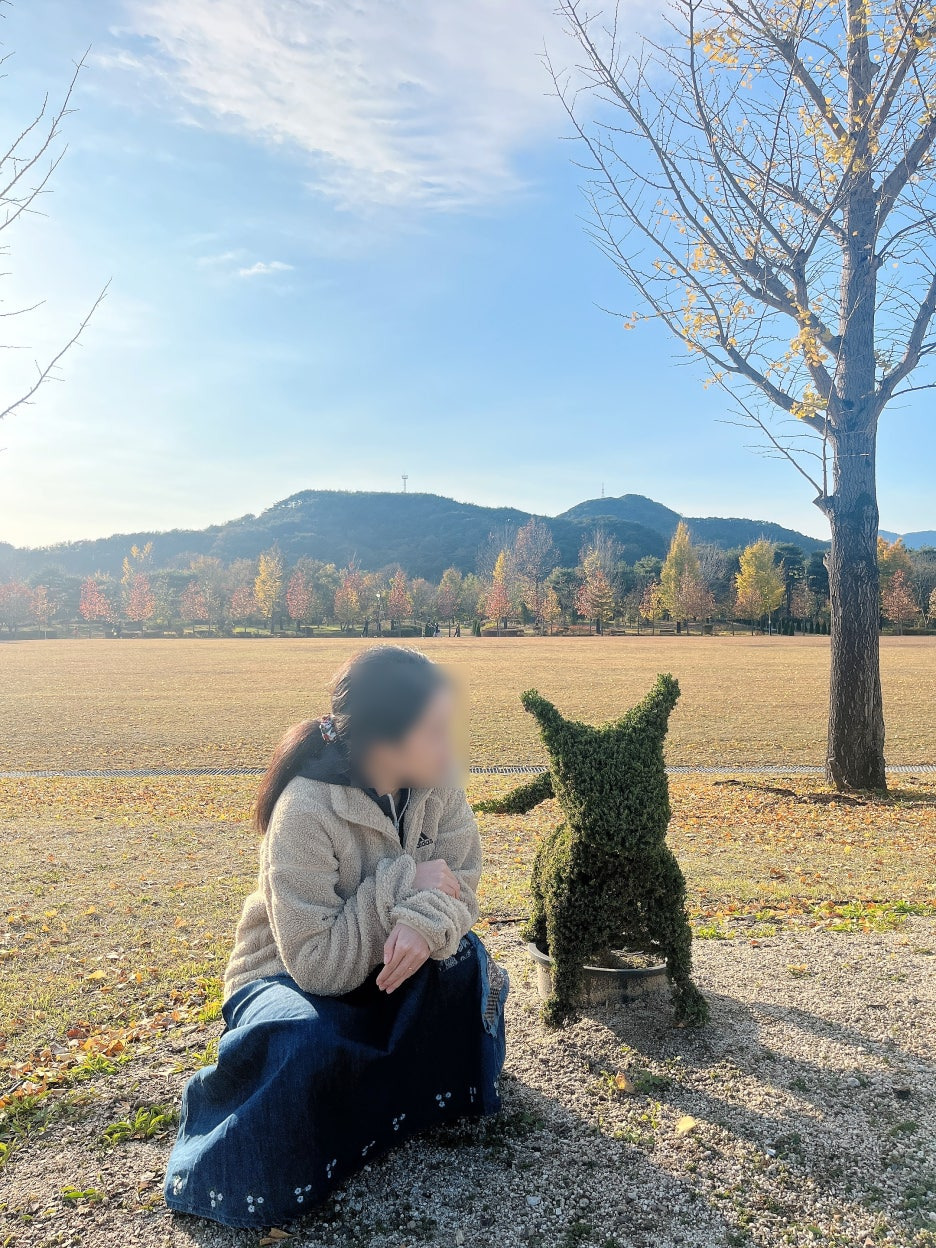 단성 이미지