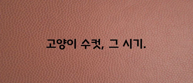 고양이 수컷 발정기 필수 지식과 효과적인 대응 전략을 알아야 합니다!