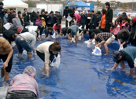 2023 서천 동백꽃 문어축제 본격 개최