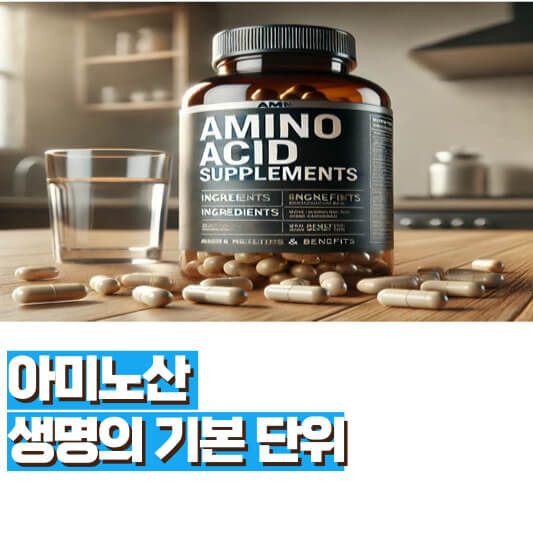 아미노산-생명의-기본-단위