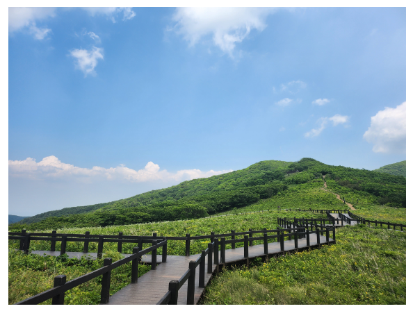  산림생물다양성 보전의 핵심공간, 산림유전자원보호구역 체계적인 관리 나선다!