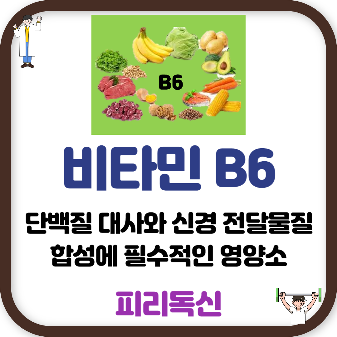 비타민 B6 (피리독신): 단백질 대사와 신경 전달물질 합성에 필수적인 영양소