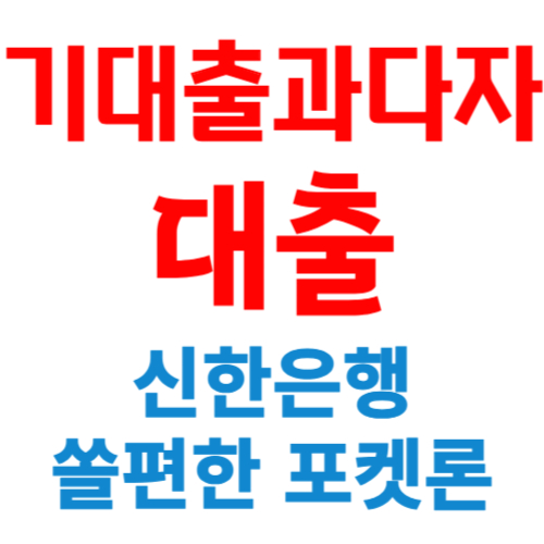 기대출과다자 대출 신한은행 쏠편한 포켓론