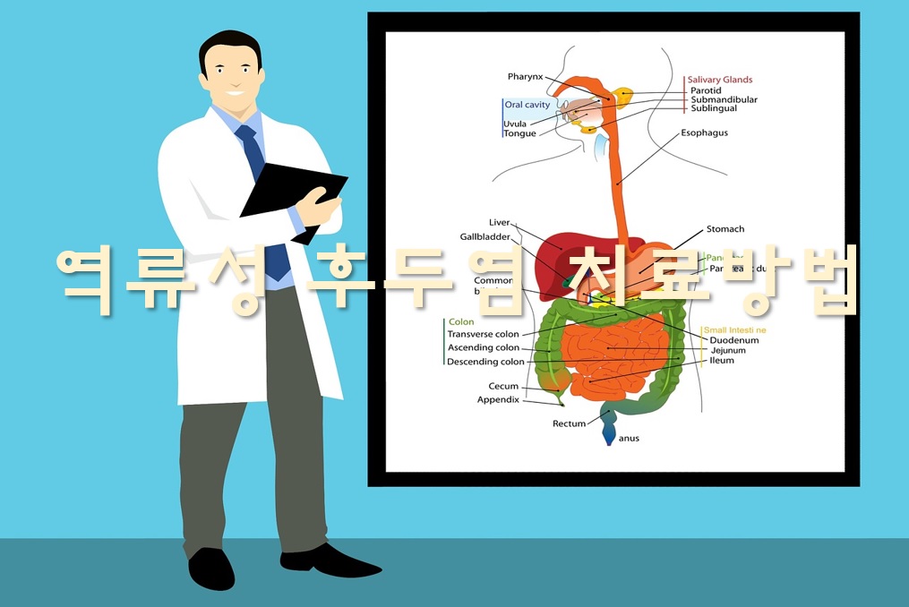 상계내과 역류성 후두염 증상 및 예방법은 6