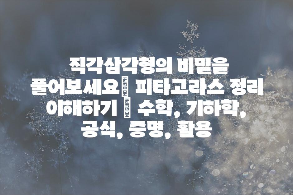 샘플 (47)