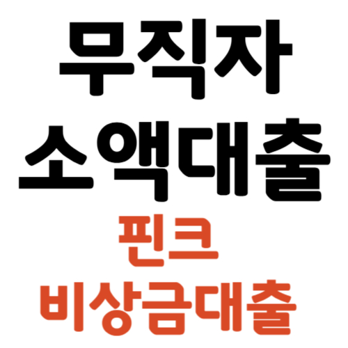 무직자 소액대출 핀크 비상금대출