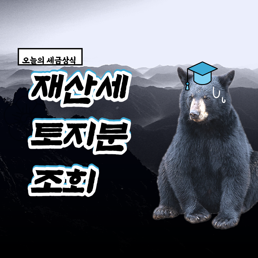  재산세 토지분 조회 과연