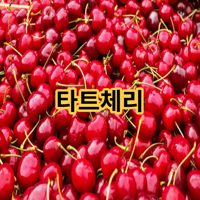  타트체리 효능 부작용, 불면증에 좋은 주스