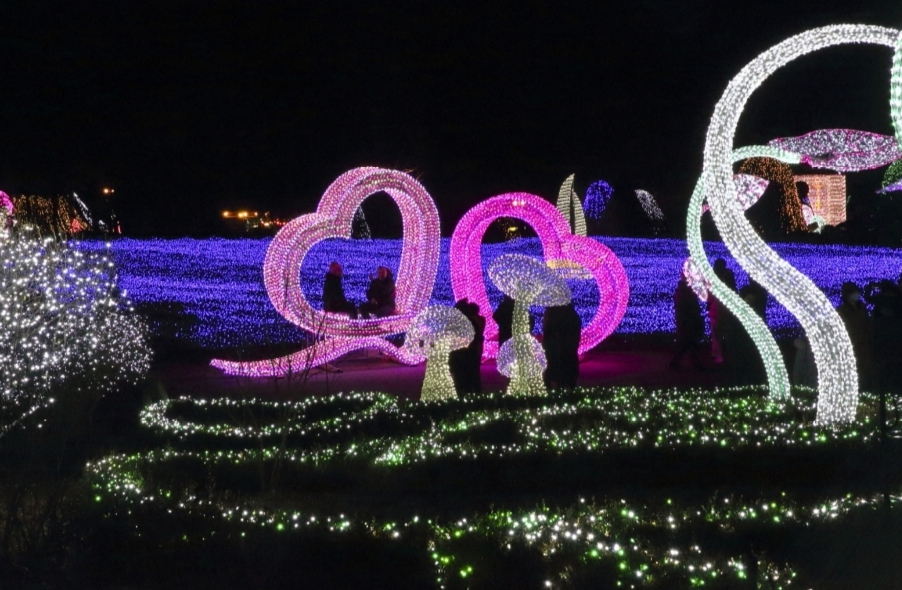 2024년 서울&amp;#44; 경기도 빛축제 기간&amp;#44; 입장료&amp;#44; 주차 총정리