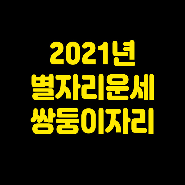  2021년 별자리운세 쌍둥이자리