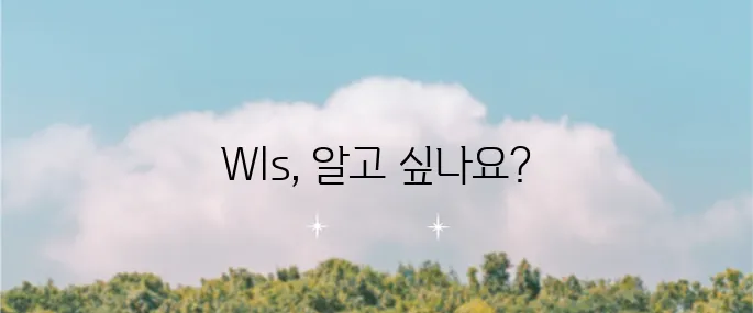 Wls 의미와 사용 방법에 대해 알아보세요!