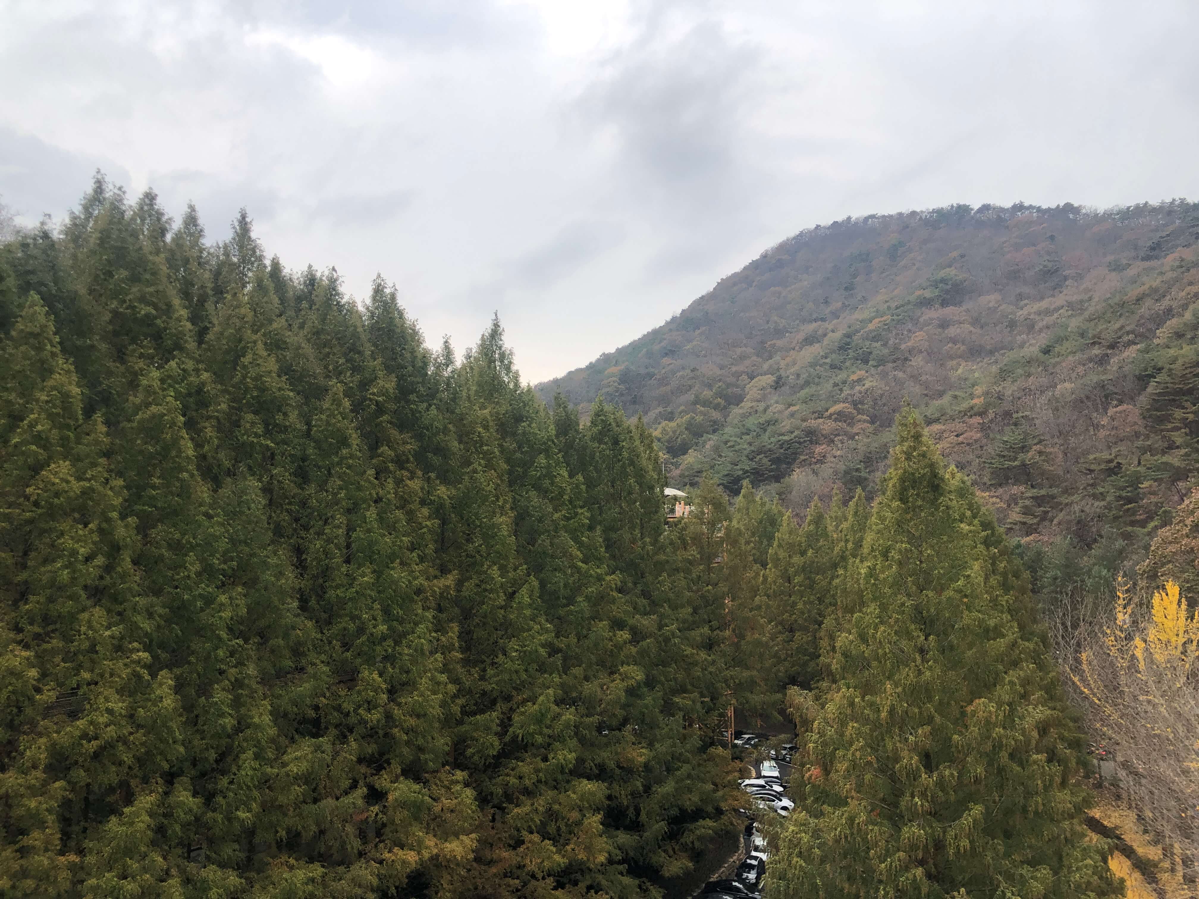 민수랜드-대전장태산자연휴양림 산