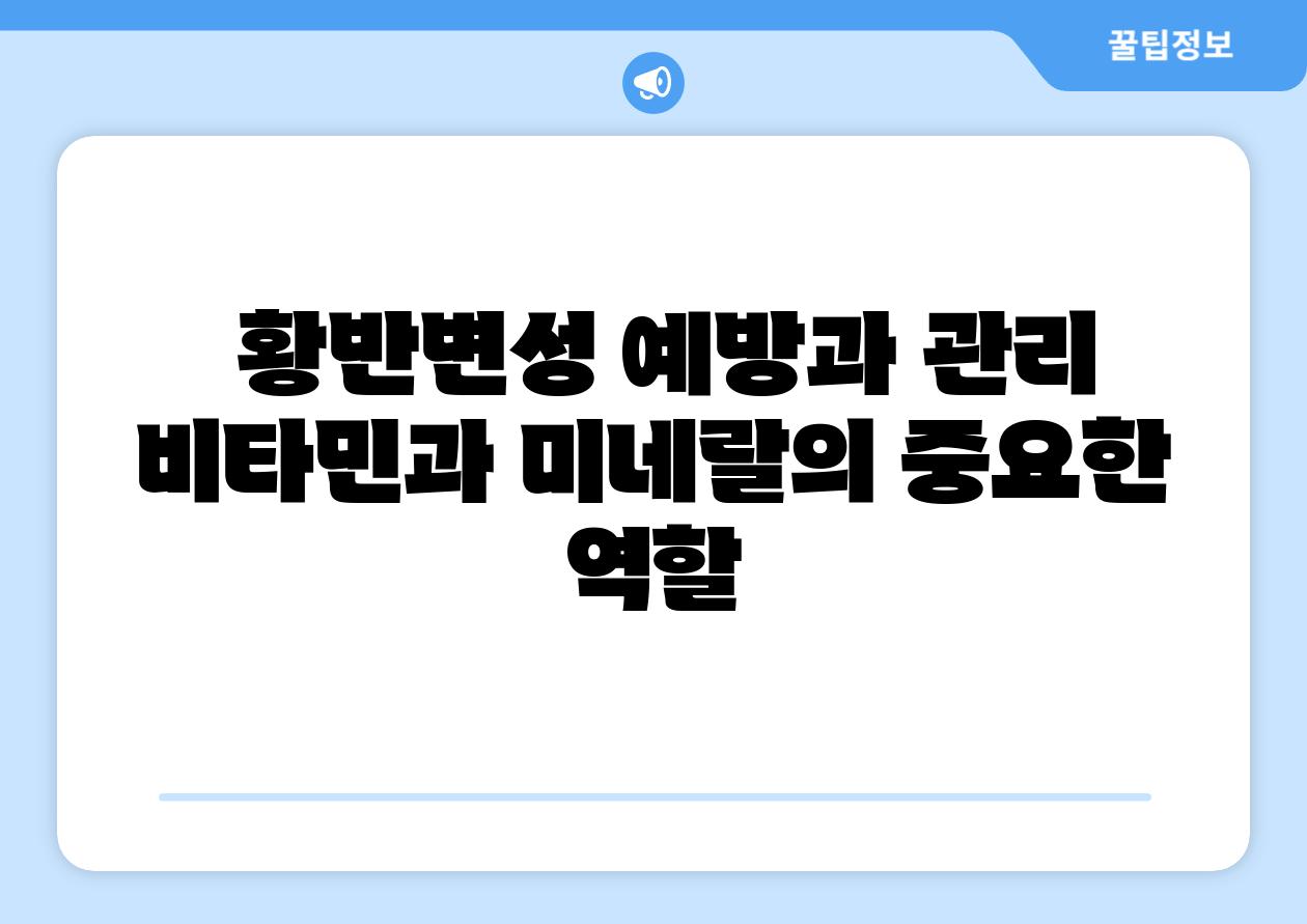 황반변성 예방과 관리 비타민과 미네랄의 중요한 역할