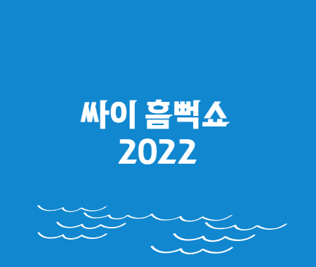 싸이 흠뻑쇼 2022