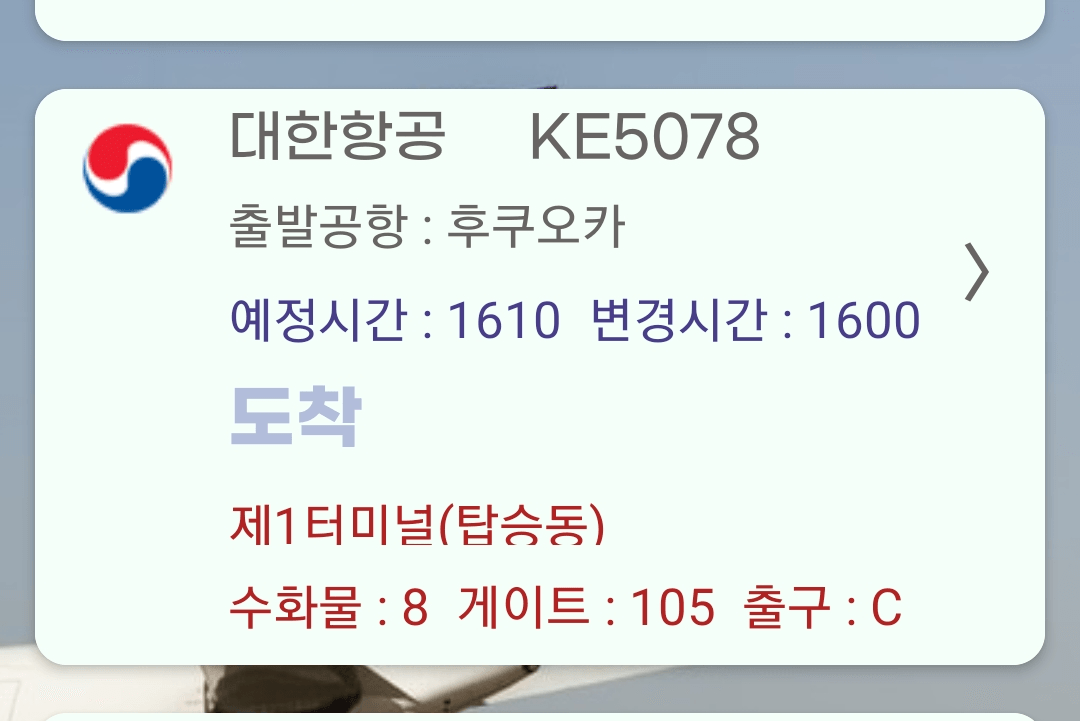 도착 비행기 자세한 정보