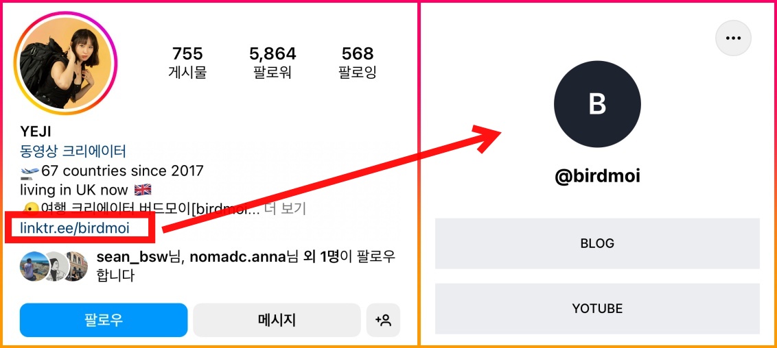 인스타그램-프로필화면-유튜버-버드모이님
