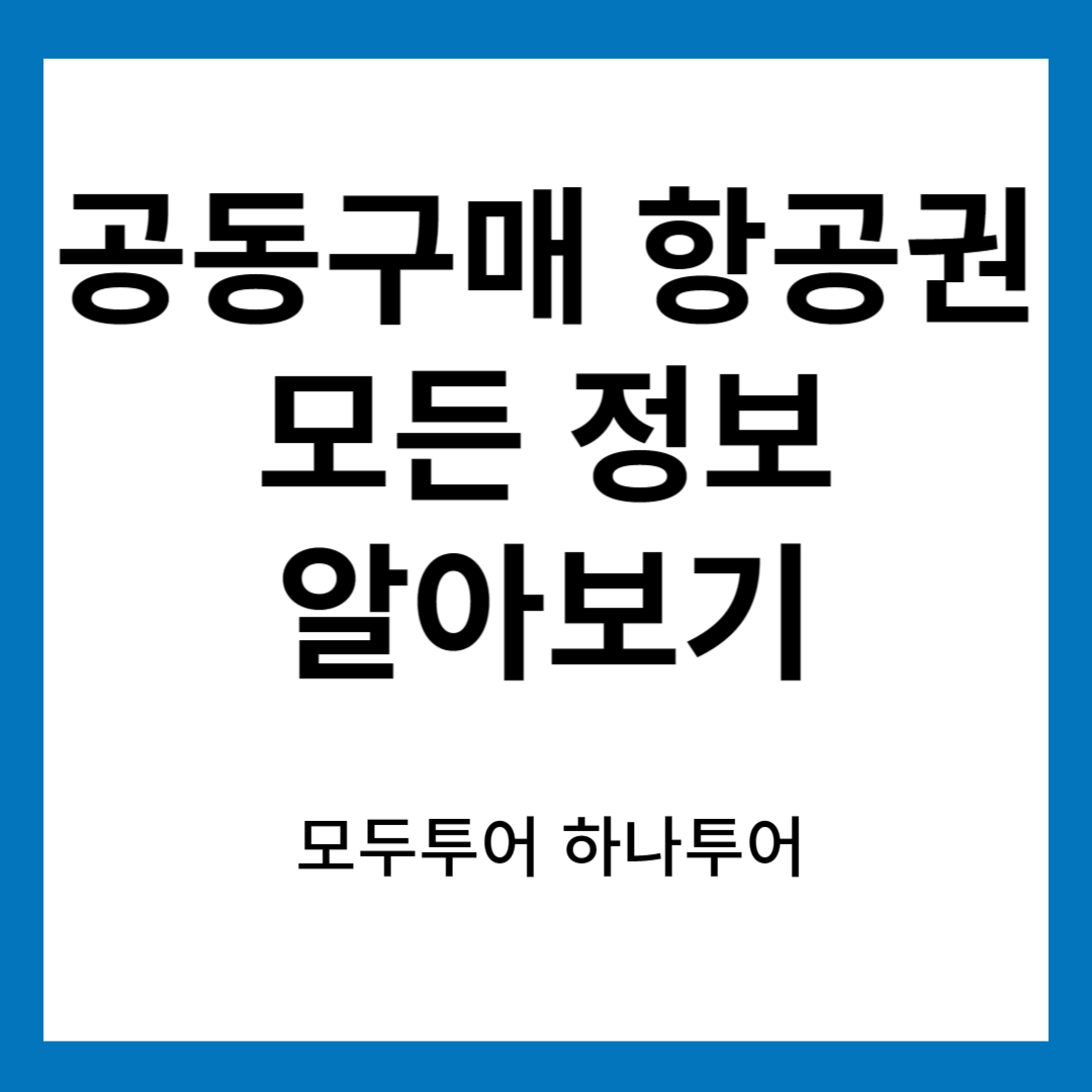 공동구매 항공권 사진