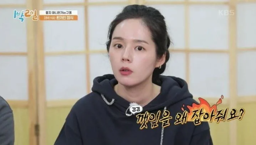  한가인이 깔끔하게 정리한 깻잎논쟁.jpg