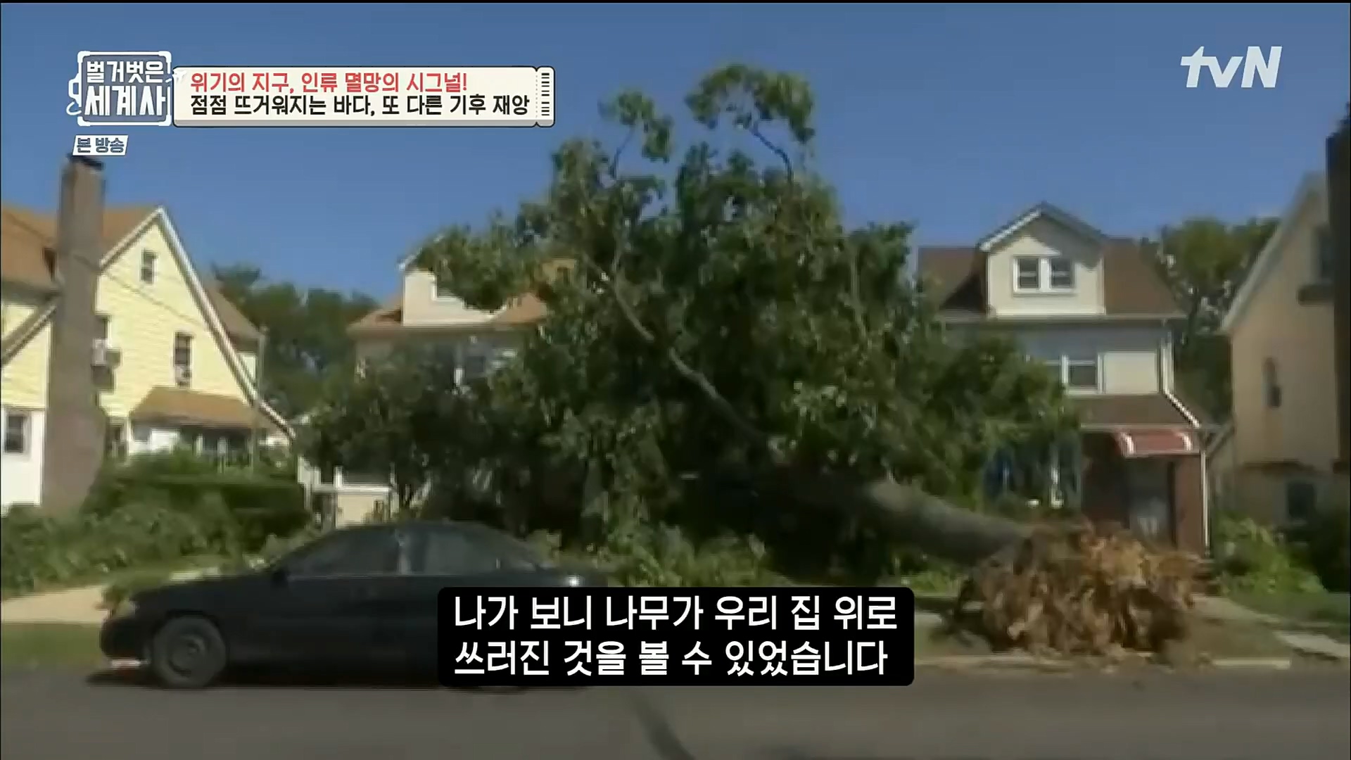 벌거벗은 세계사.E75.221129p.H264-F1RST.mp4_20221211_170944.184.jpg