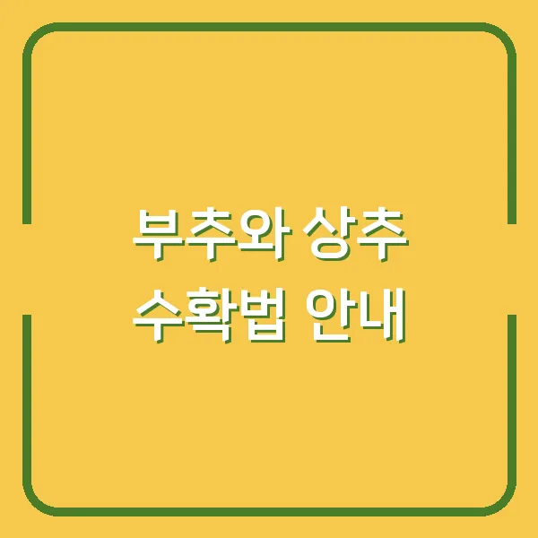 부추와 상추 수확법 안내
