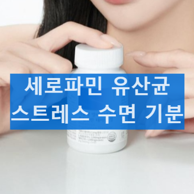 세로파민 유산균 효과 성분 내돈내산 후기 먹는법 부작용 가격 총정리