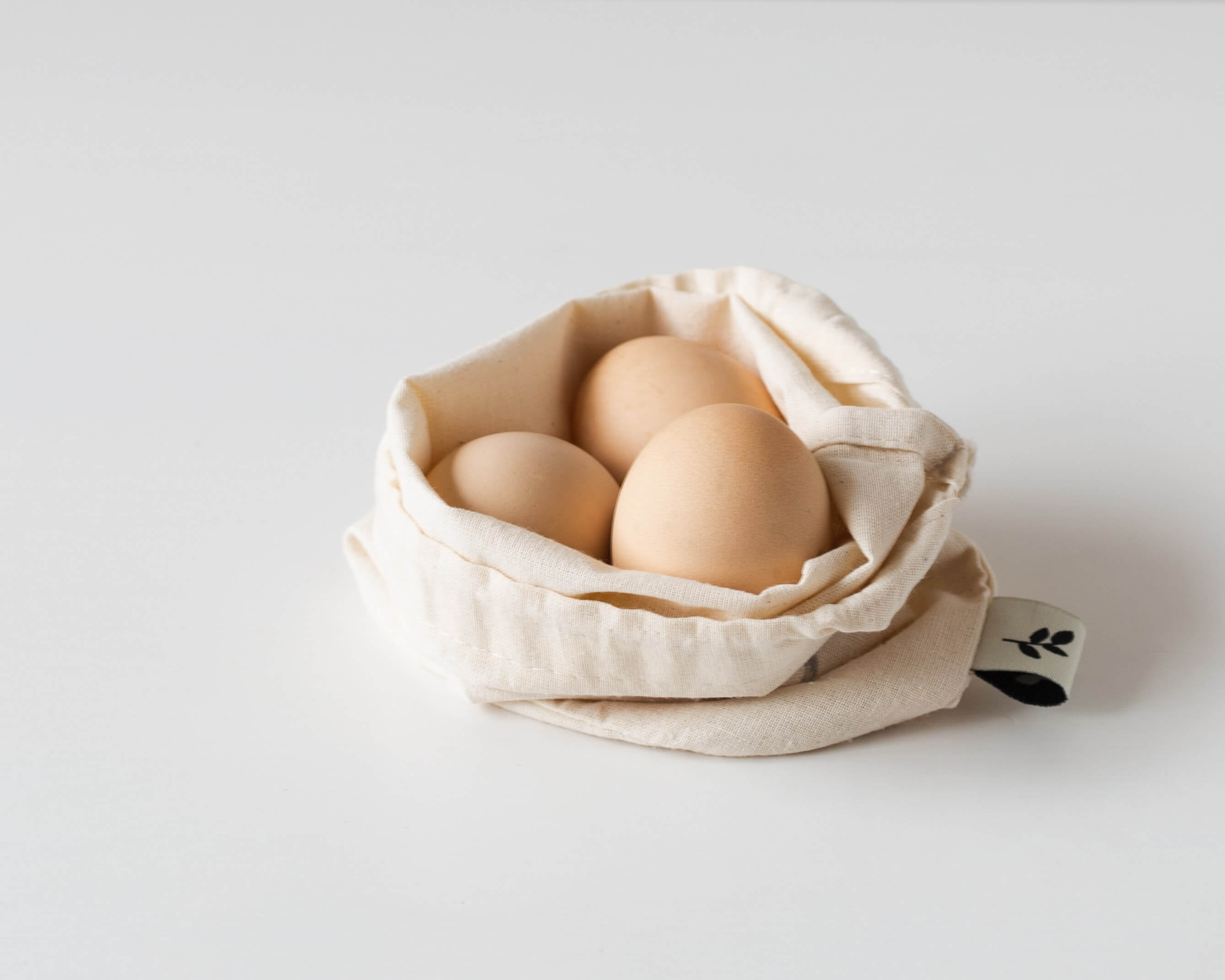 고단백 식품 - 계란