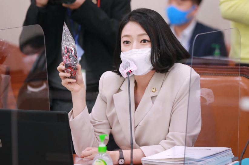 귀태 뜻..배현진 귀태 발언 논란