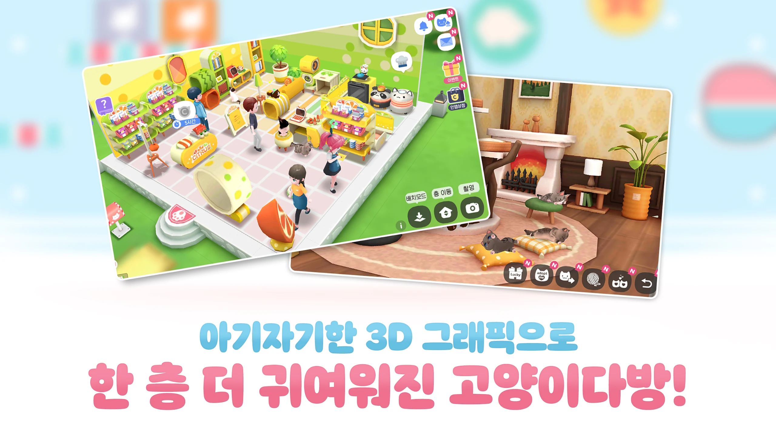 고양이다방 이미지