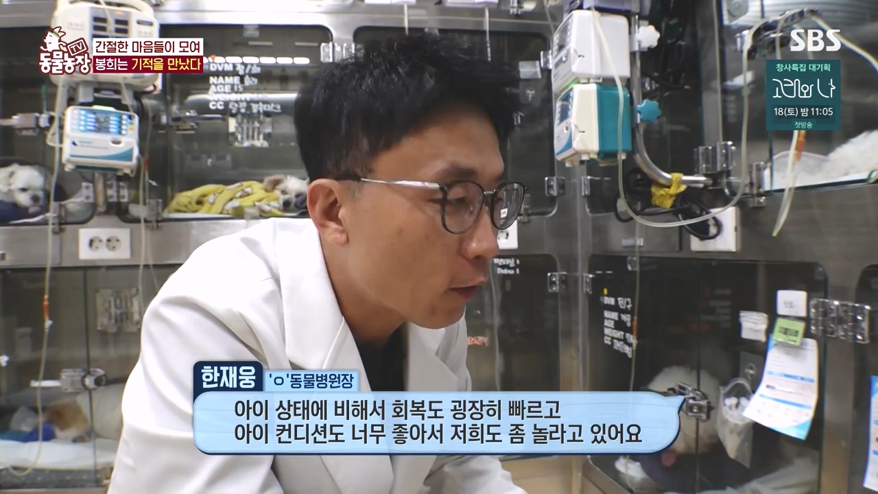 TV 동물농장.E1145.231113p-NEXT.mp4_20231112_173447.968.jpg