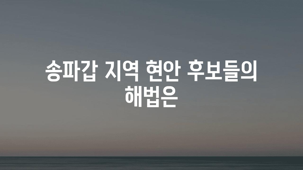 송파갑 지역 현안 후보들의 해법은