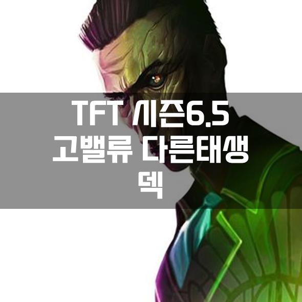  롤체 시즌6.5 고밸류 다른태생 덱