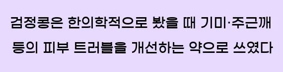  검정콩은 한의학적으로 봤을 때 기미·주근깨 등의 피부 트러블을 개선하는 약으로 쓰였다