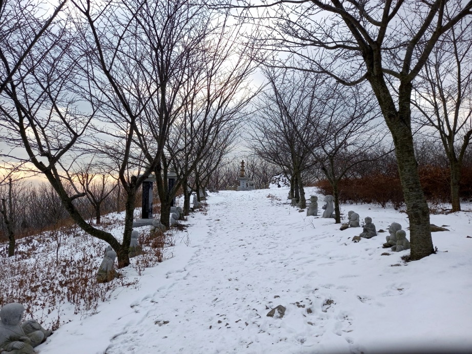img.jpg