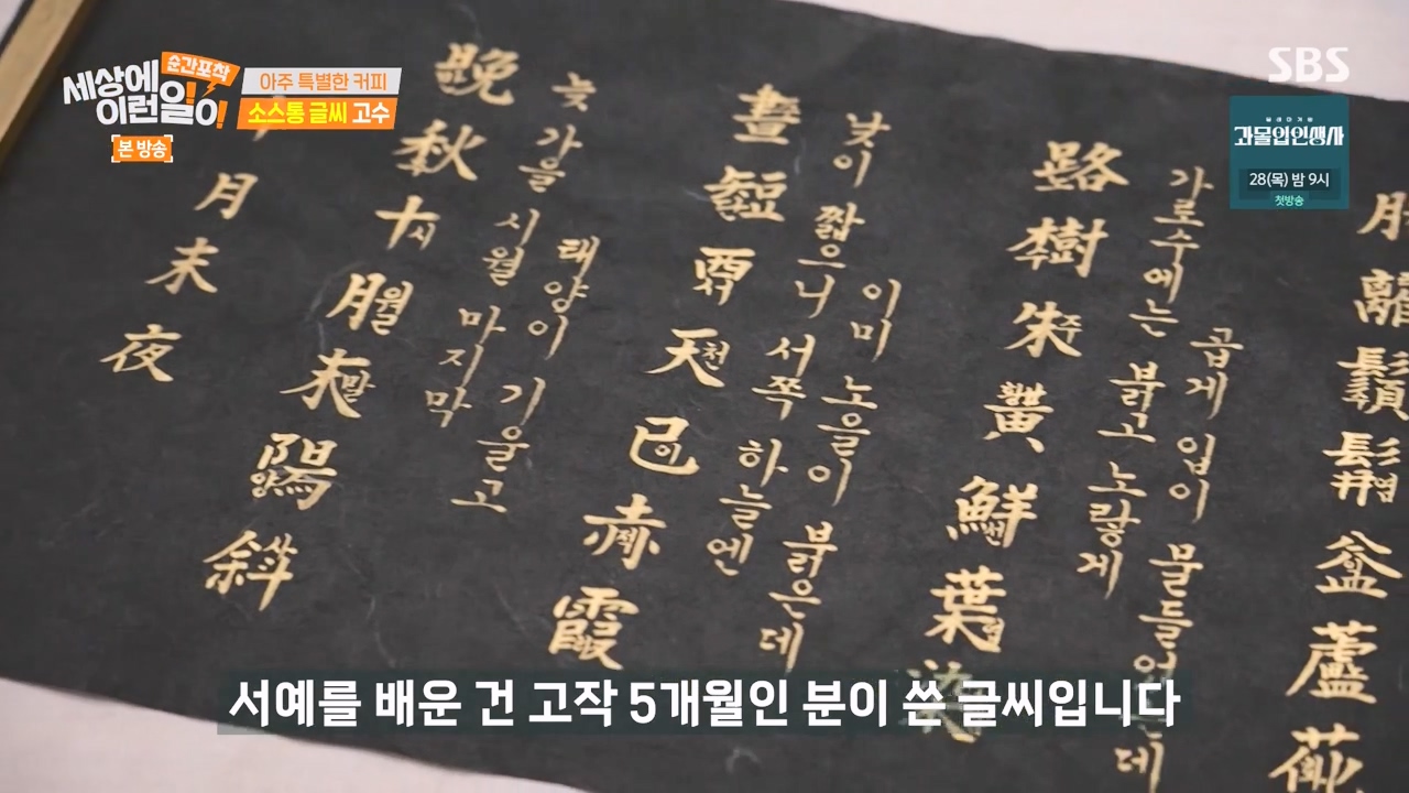 순간포착 세상에 이런일이.E1256.231217p-NEXT.mp4_20231217_173904.033.jpg