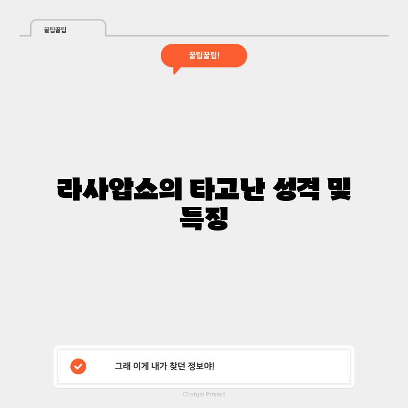 라사압소의 타고난 성격 및 특징