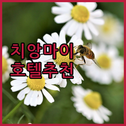 치앙마이 호텔 추천! 올드 타운부터 