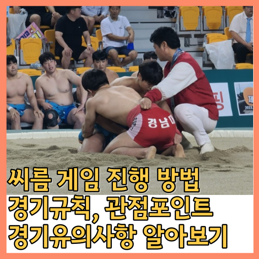  씨름 (Wrestling) 게임 진행 방법, 경기규칙, 관점포인트, 경기유의사항 알아보기