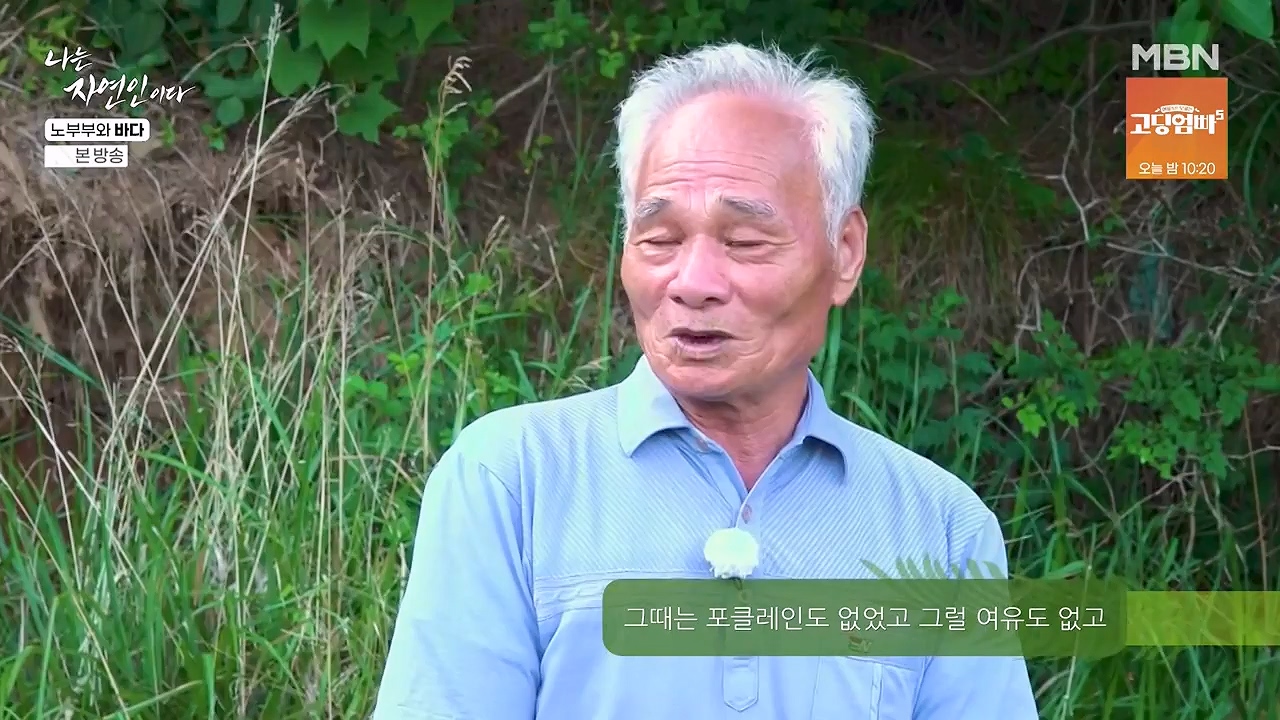 나는 자연인이다.E610.240620p-NEXT.mp4_20240620_194756.208.jpg