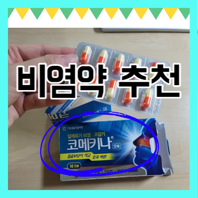  비염 약 대웅제약 코메키나, 한풍제약 비엠쿨에프 후기
