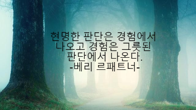 안개 가득한 가을 숲길